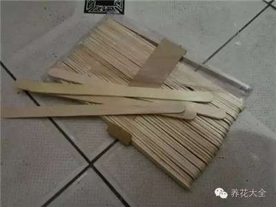 多肉标签准备工具 多肉标签准备工具