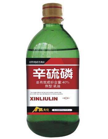 薄荷如何防治金针虫?