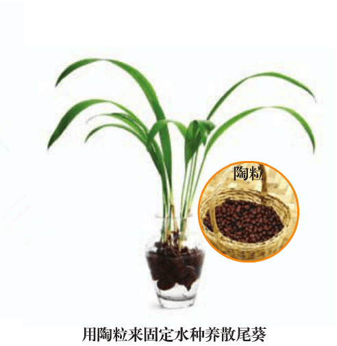 陶粒 陶粒