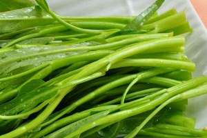 空心菜无公害栽培