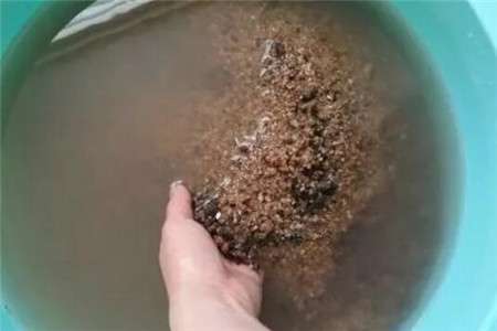 洗沙子 洗沙子