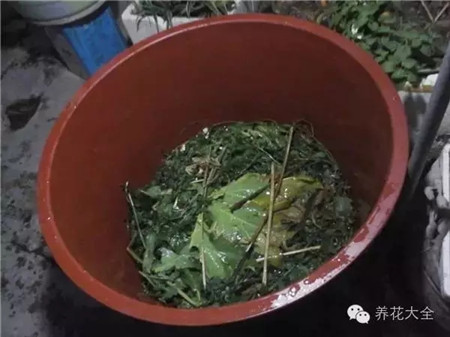 水桶 水桶