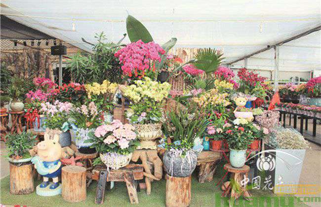 小而美的年宵花卉产品.jpg