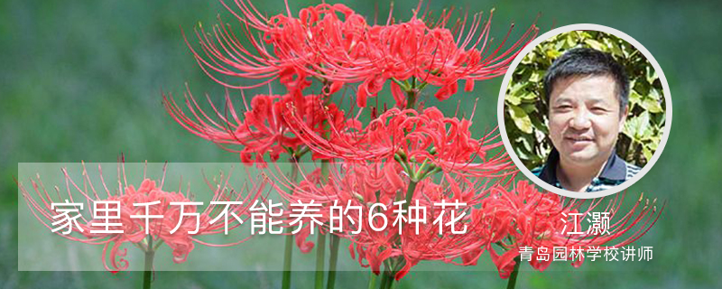 家里千万不能养的6种花 家里千万不能养的6种花