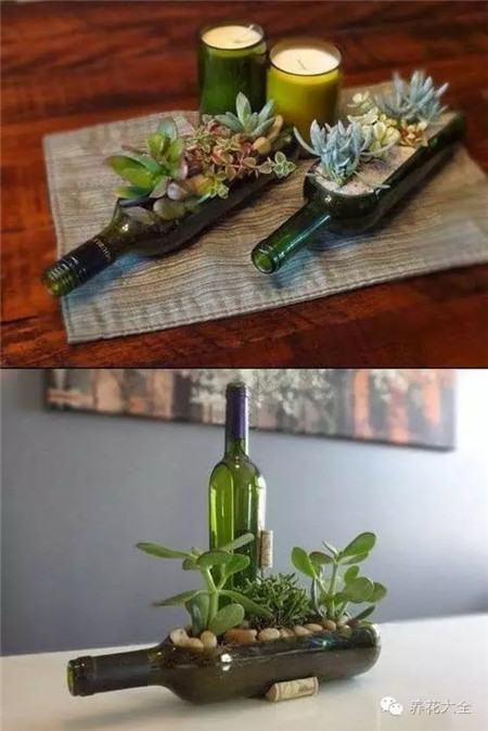 自制多肉盆栽 自制多肉盆栽