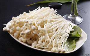 金针菇斑病咋防治