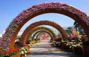 广东陈村花卉旅游文化节 8万名游客参观打卡