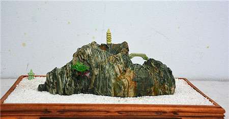 榕树附石盆景制作:上盆 榕树附石盆景制作:上盆