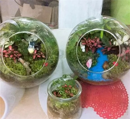 景观容器 景观容器