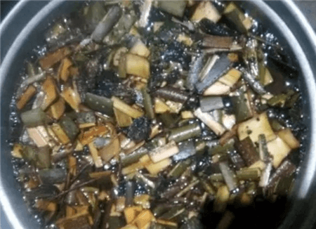 树皮发酵 树皮发酵