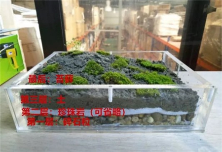 微景观装盆 微景观装盆