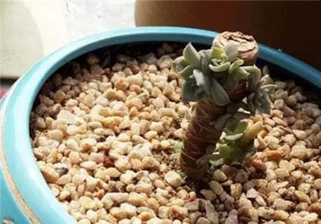 方法一:砍头法 方法一:砍头法