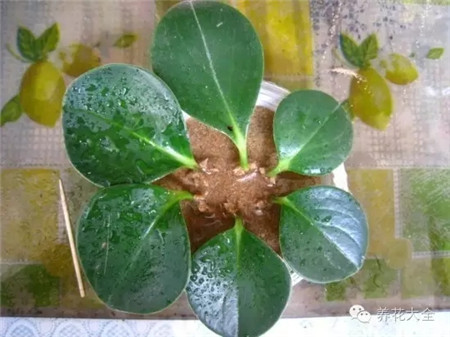 注意保湿 注意保湿