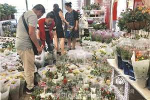 中秋团圆节 花卉市场“热”