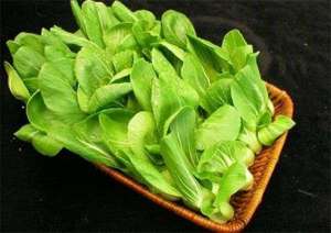 油菜贮藏保鲜技术