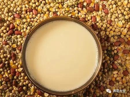 豆渣 豆渣