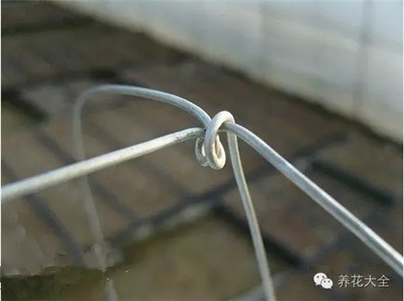 第3步 第3步