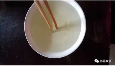 维生素B12药片 维生素B12药片