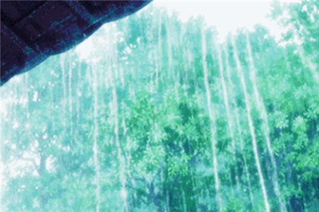 雨水 雨水