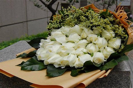 18朵玫瑰代表什么意思,代表真诚与坦白的爱