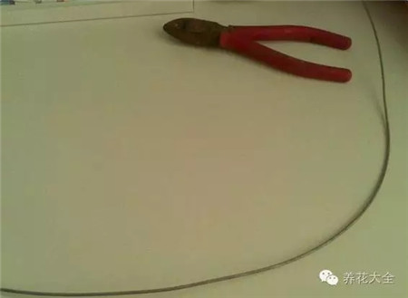 小铁丝 小铁丝