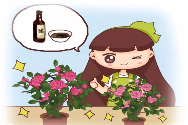 养花万能水,竟是它!绿叶促花杀虫,样样行! 养花万能水,竟是它!绿叶促花杀虫,样样行!