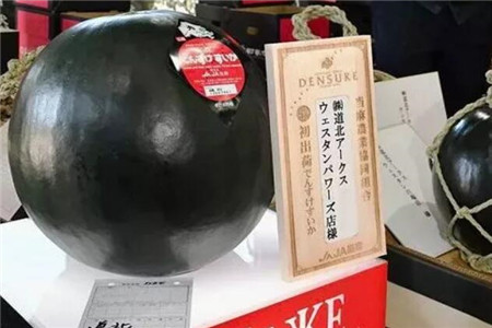 最贵的西瓜 最贵的西瓜