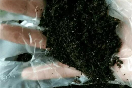 火龙果皮花肥 火龙果皮花肥