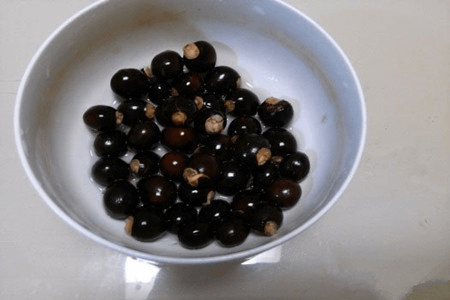 龙眼 龙眼
