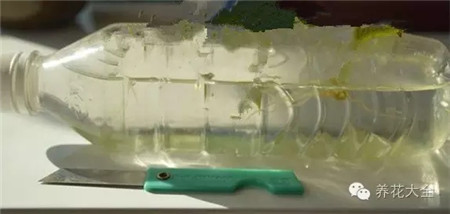 矿泉水瓶 矿泉水瓶