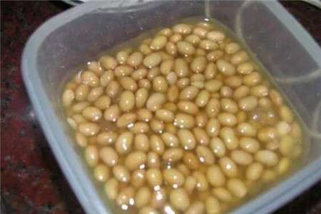 黄豆 黄豆
