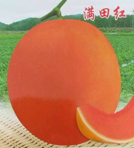 微信图片_20180711215344.jpg
