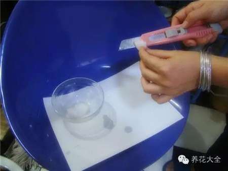 消毒 消毒