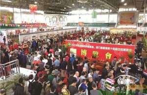 第十四届兰花博览会200种兰花精品集中亮相