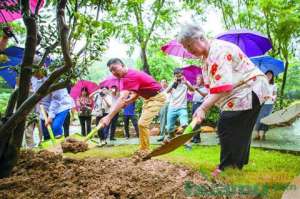 佛山：茶花协会总部设定 助力绿化景观建设