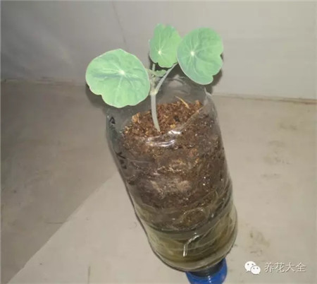 保湿 保湿