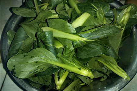 青菜 青菜