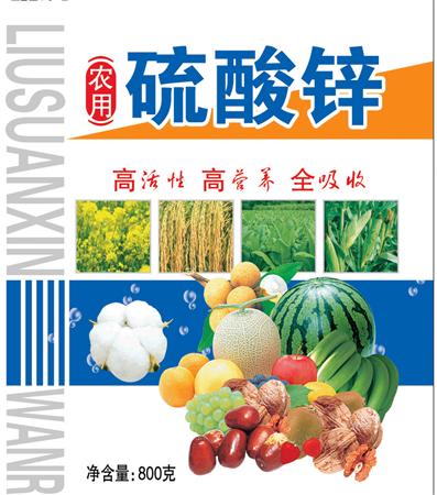 红薯种植