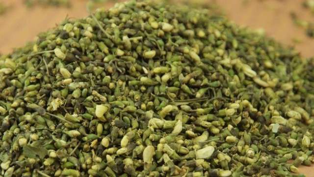 槐米的功效与作用 槐米的功效与作用