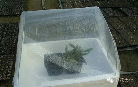第5步 第5步