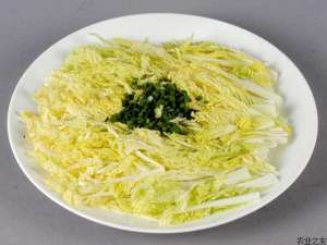娃娃菜无公害种植技术