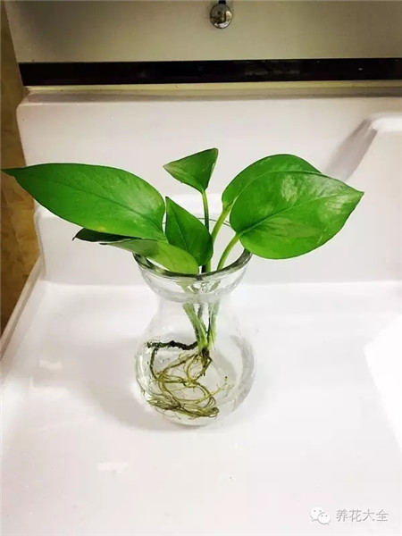 保湿 保湿