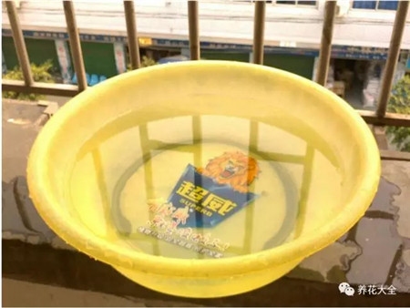 自来水 自来水