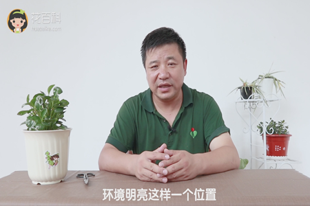 环境明亮这样一个位置 环境明亮这样一个位置