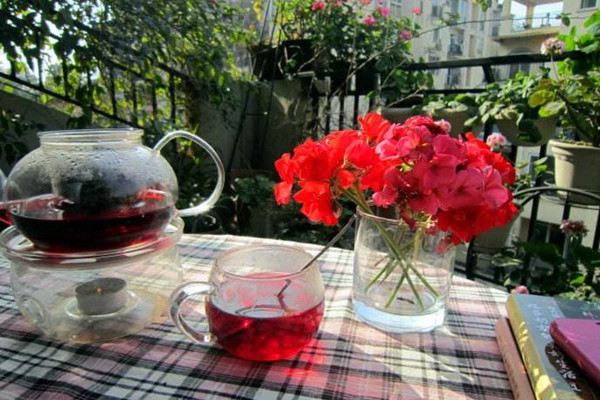 洛神花怎么泡茶喝 洛神花怎么泡茶喝
