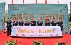 第二届青岛花卉博览会有哪些亮点？