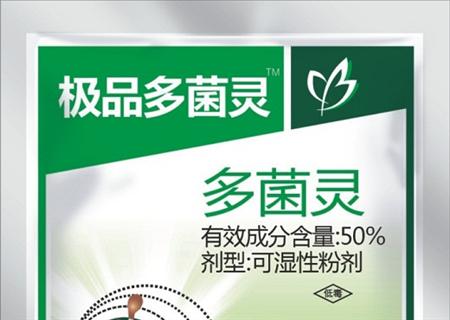 枇杷树有那些病虫害?要怎么防治?