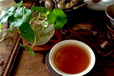 茶叶水浇花 茶叶水浇花