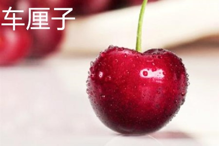 车厘子 车厘子