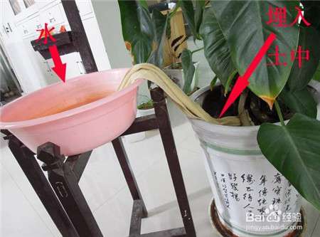 毛巾引水 毛巾引水